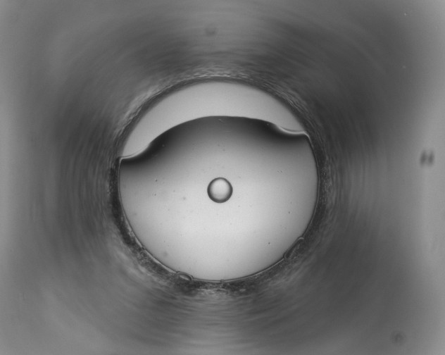 X0000114020207200910231844