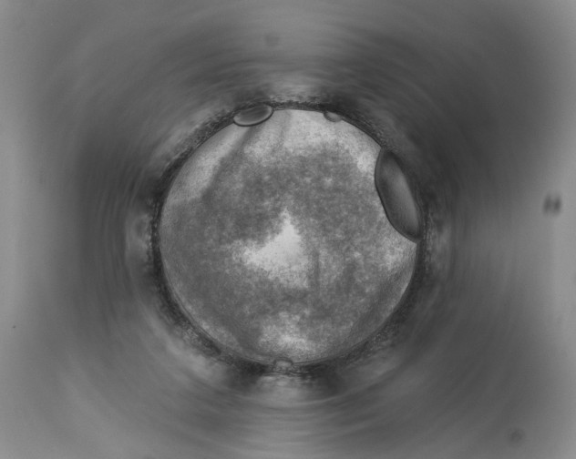 X0000114020211200910231844