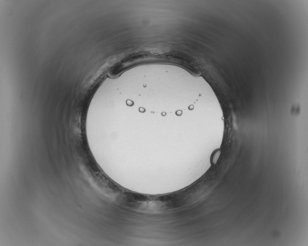 X0000114020212200910231844