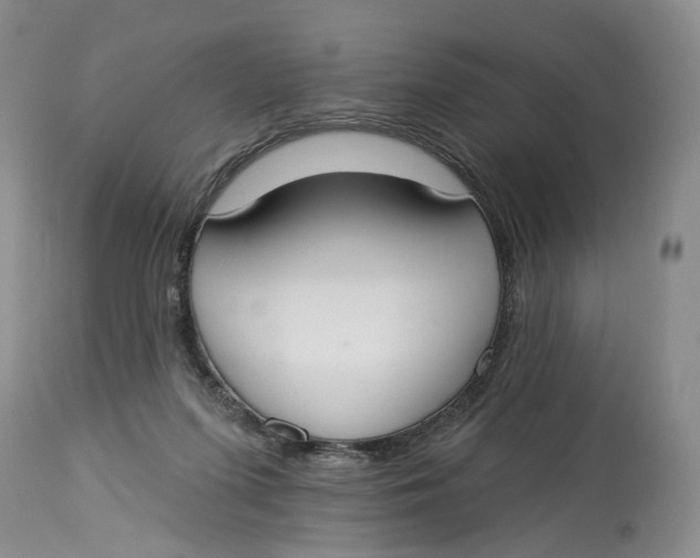 X0000114020215200910231844