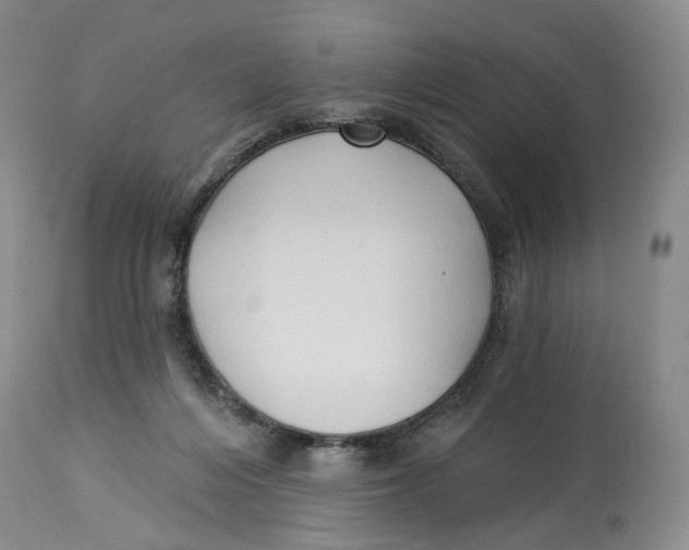 X0000114020216200910231844