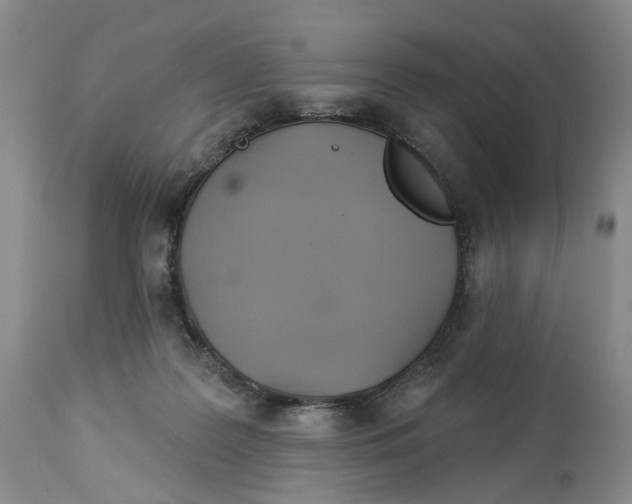 X0000114020219200910231844