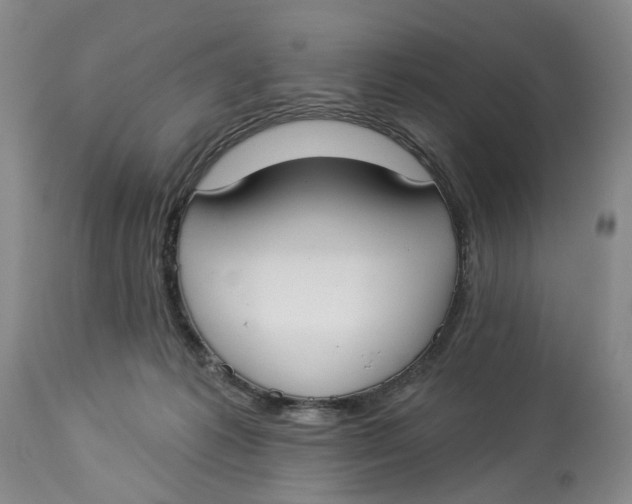 X0000114020221200910231844