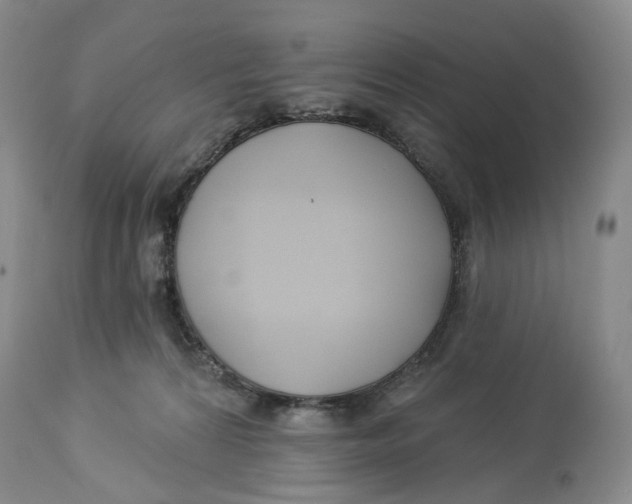 X0000114020224200910231844