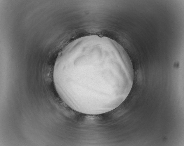 X0000114020234200910231844