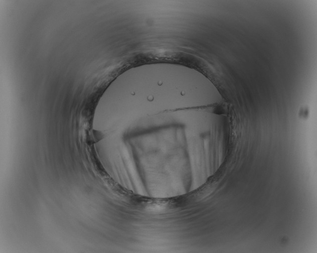 X0000114020235200910231844