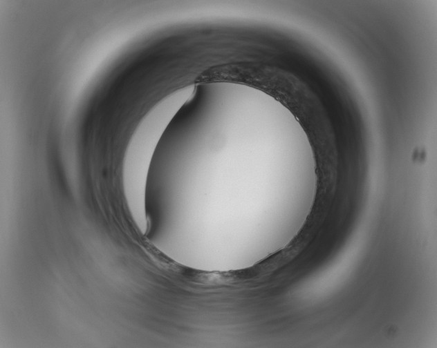 X0000114020239200910231844