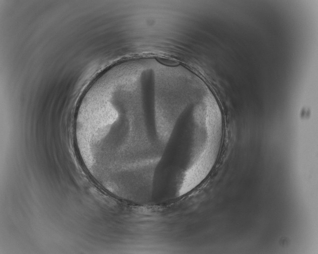 X0000114020241200910231843