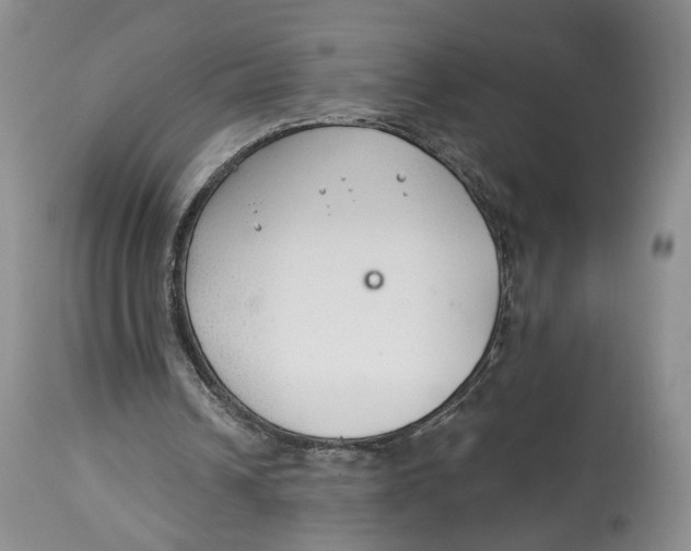 X0000114020242200910231843