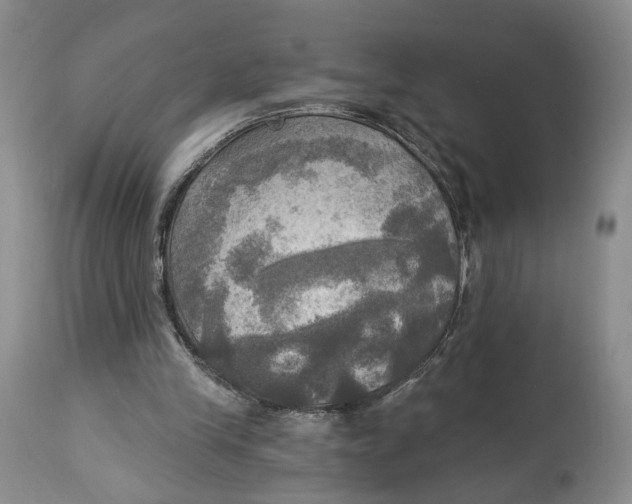 X0000114020245200910231843