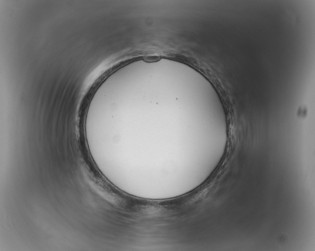 X0000114020246200910231843