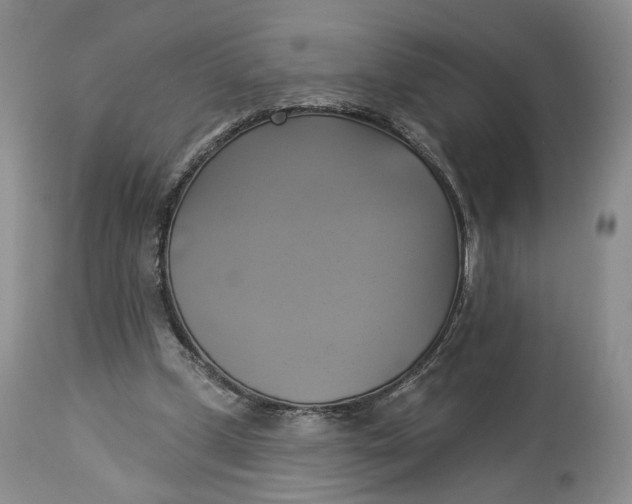 X0000114020249200910231843