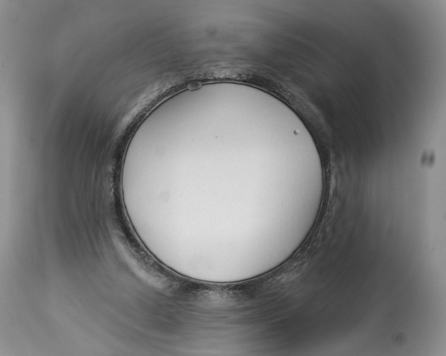 X0000114020250200910231843