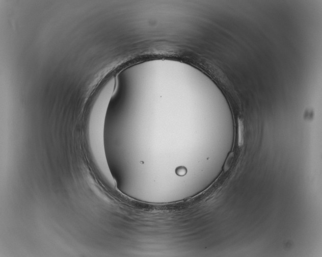 X0000114020252200910231843