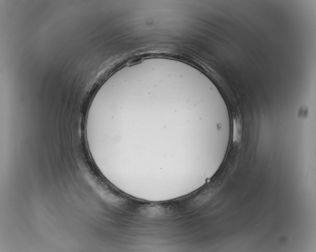 X0000114020253200910231843