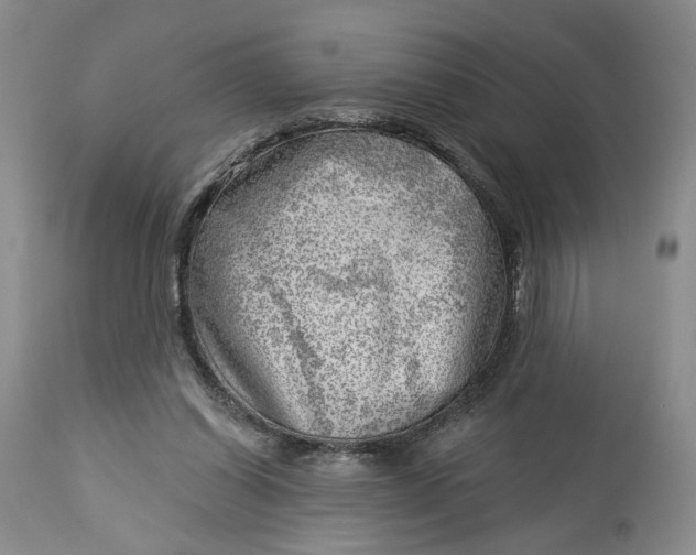 X0000114020254200910231843