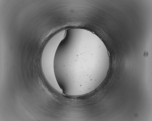 X0000114020256200910231843