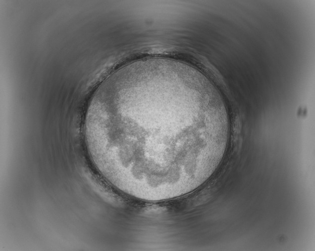 X0000114020257200910231843