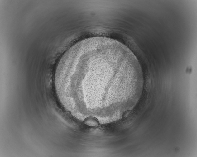 X0000114020259200910231843