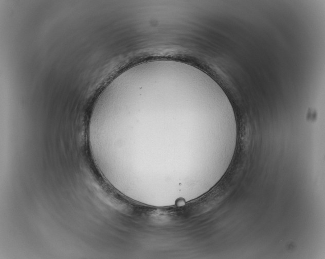 X0000114020261200910231843