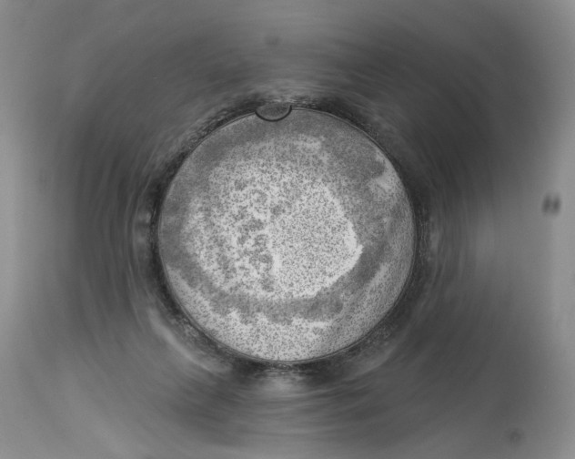 X0000114020263200910231843