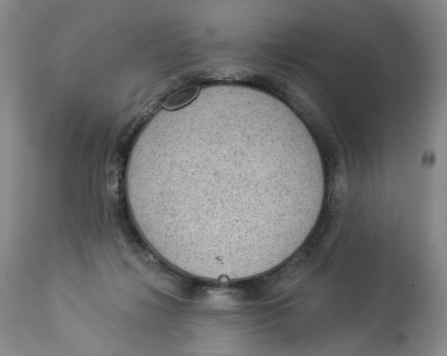 X0000114020268200910231843