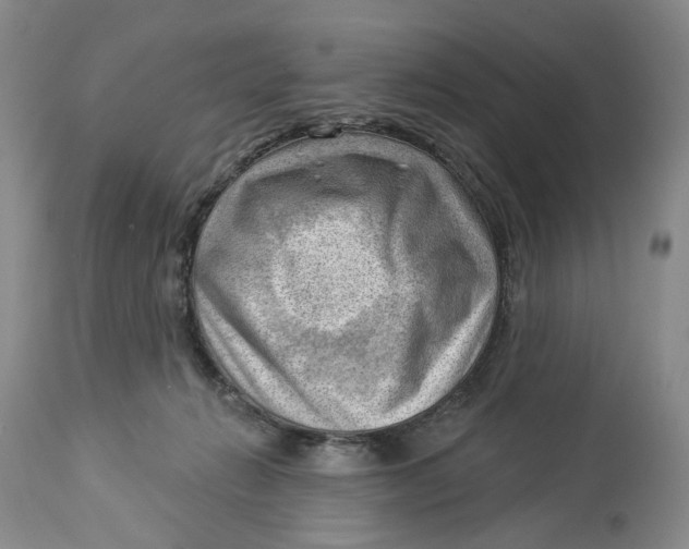 X0000114020270200910231843