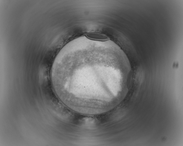 X0000114020272200910231843