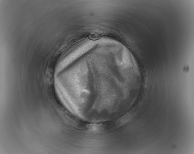 X0000114020273200910231843