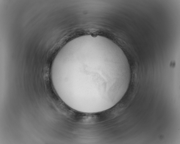 X0000114020274200910231843