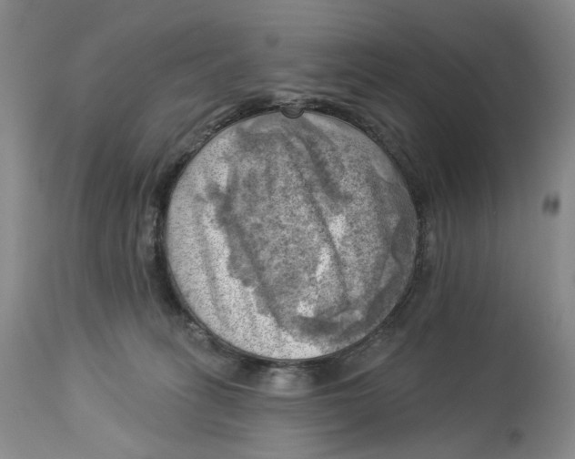 X0000114020275200910231843