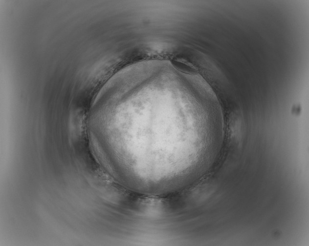 X0000114020276200910231843