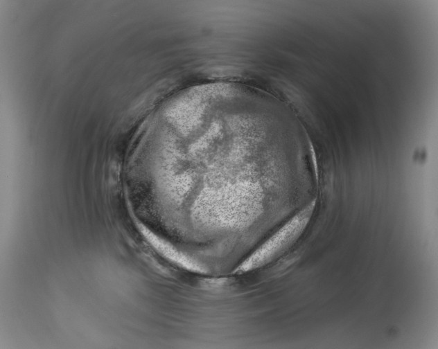 X0000114020281200910231844