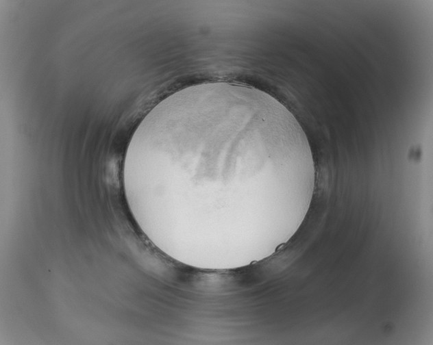 X0000114020286200910231844