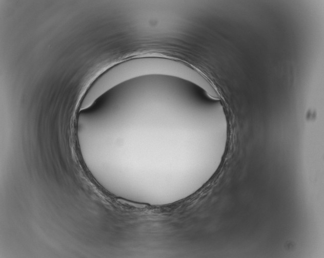 X0000114020289200910231843