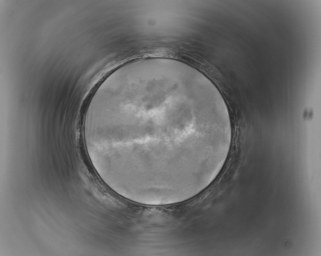 X0000114020290200910231843