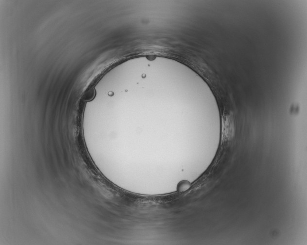 X0000114020291200910231843