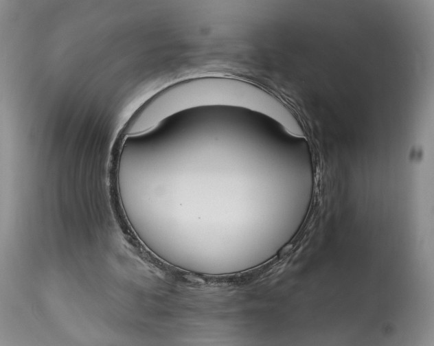 X0000114020292200910231843