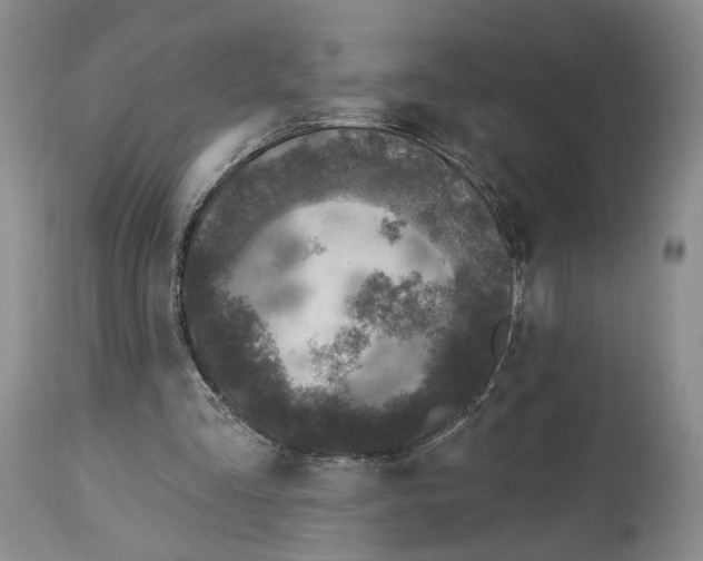 X0000114020293200910231843