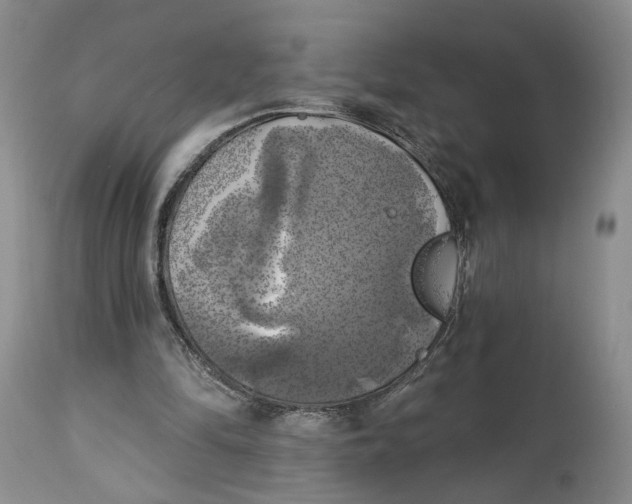 X0000114020294200910231843