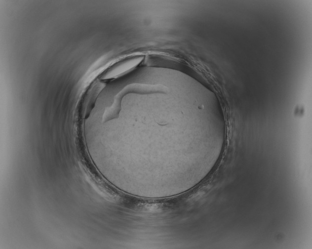 X0000114020295200910231843