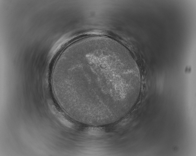 X0000114020296200910231843