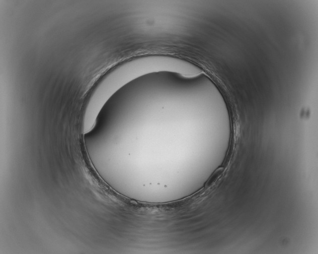 X0000114020297200910231843