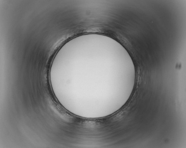 X0000114020298200910231843