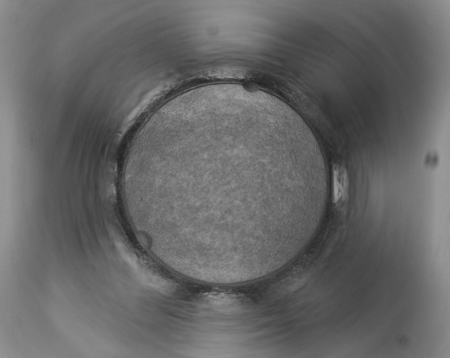 X0000114020300200910231843