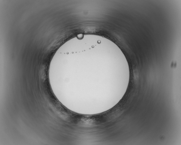 X0000114020311200910231843