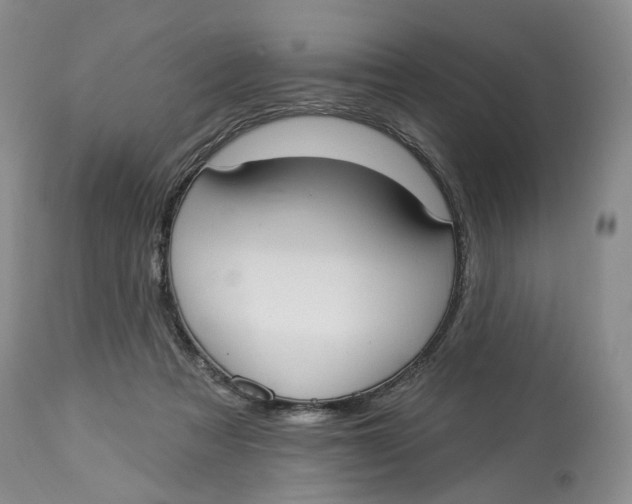 X0000114020313200910231843