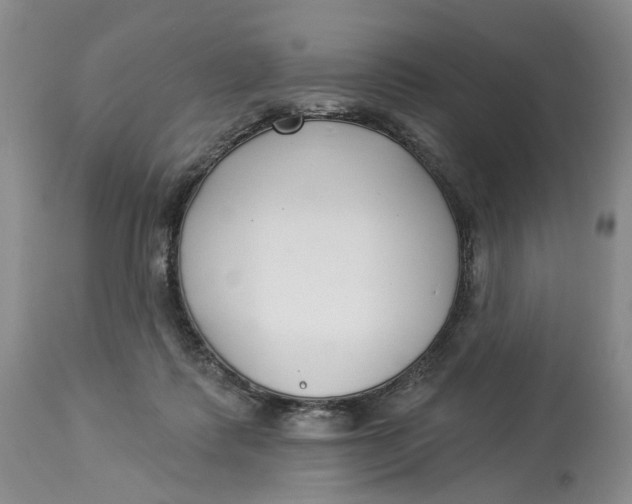 X0000114020315200910231843