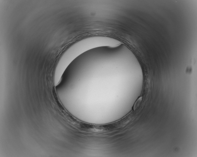 X0000114020317200910231843