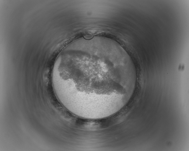 X0000114020319200910231843